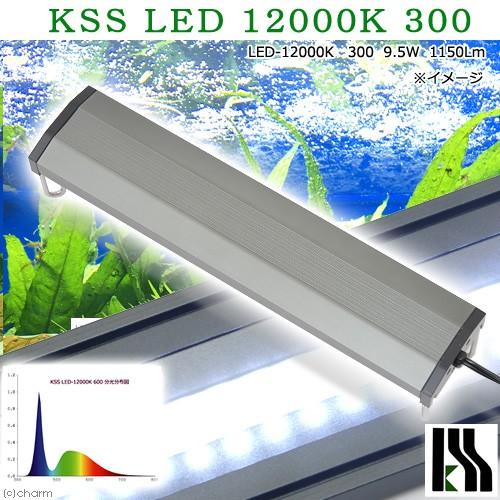 興和 KSS LED−12000K 300 30〜45cm水槽用照明 