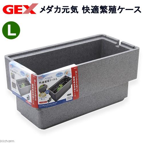 メダカ元気 GEX メダカ元気 快適繁殖ケース L めだか 屋外 メダカ元気 GEX メダカ元気 快適繁殖ケース L めだか 屋外