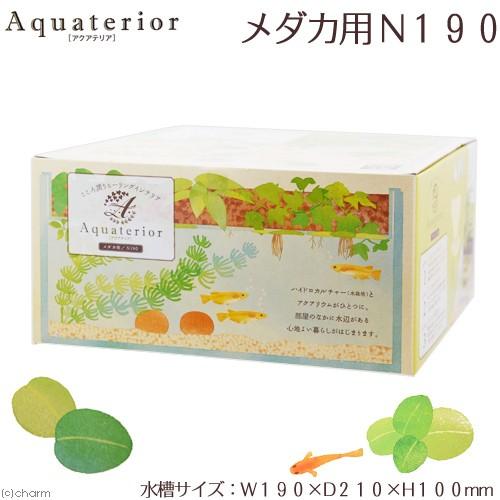 水作 アクアテリア メダカ用 ｎ１９０ おしゃれ水槽 アクアリウム用品 お一人様５点