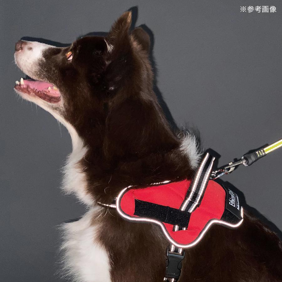 犬用胴輪　ＥｔｈｉｃａｌＤｏｏｒ　イージーウェアハーネス　Ｍ　レッド｜chanet｜02