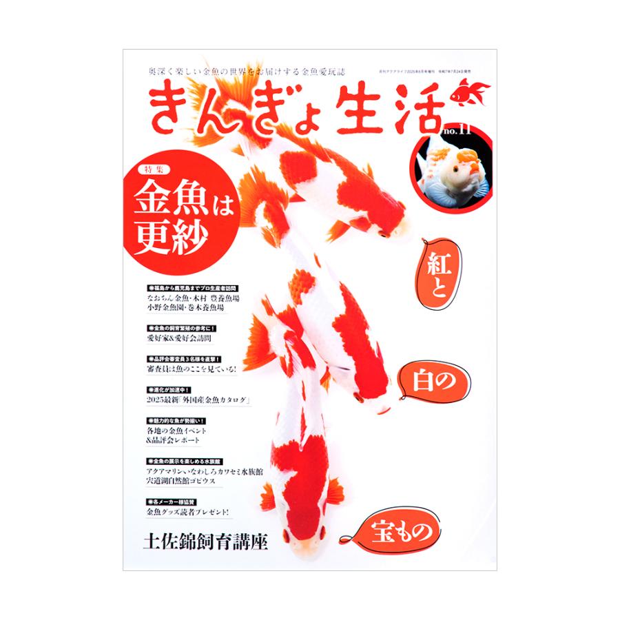 きんぎょ生活 No．11 : チャーム charm ヤフー店 - 通販 - Yahoo