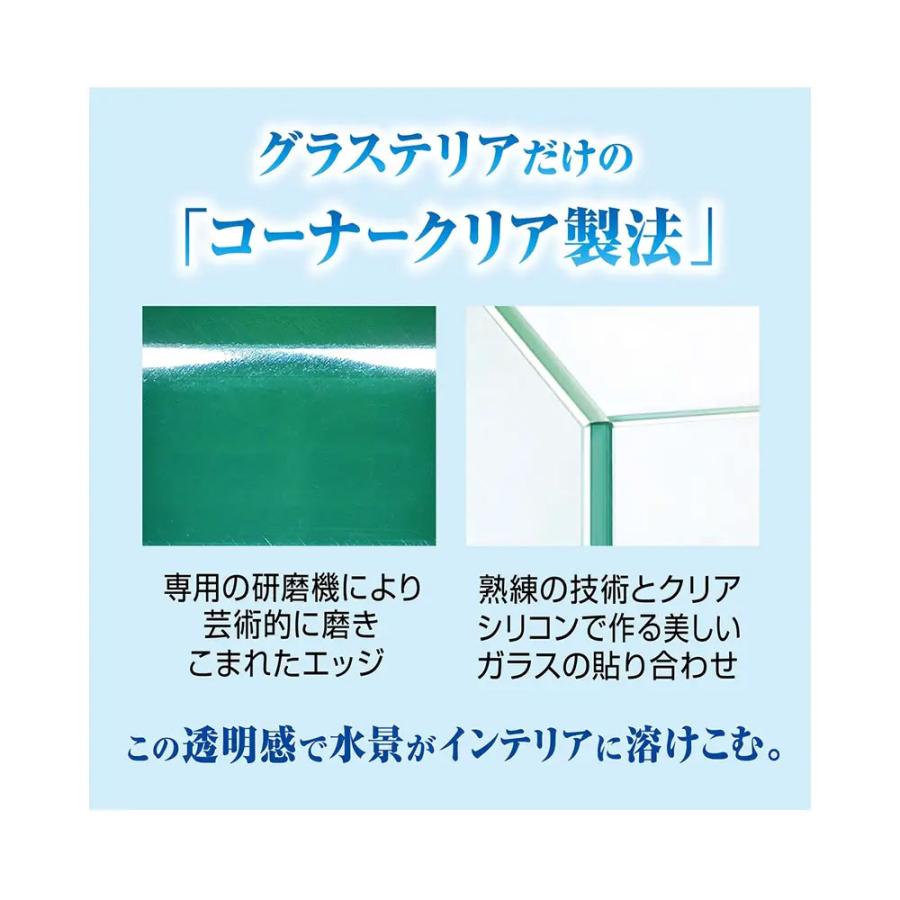 アウトレット品 GEX ガラス水槽 グラステリア