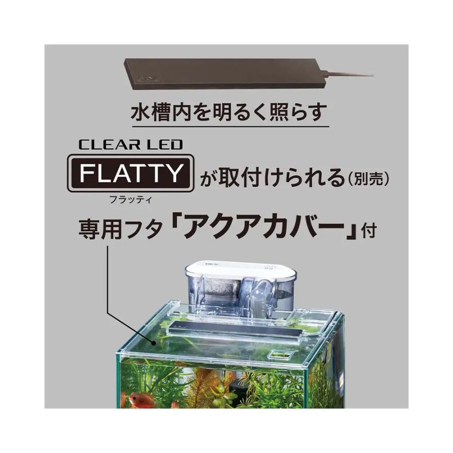 アウトレット品 GEX ガラス水槽 グラステリア