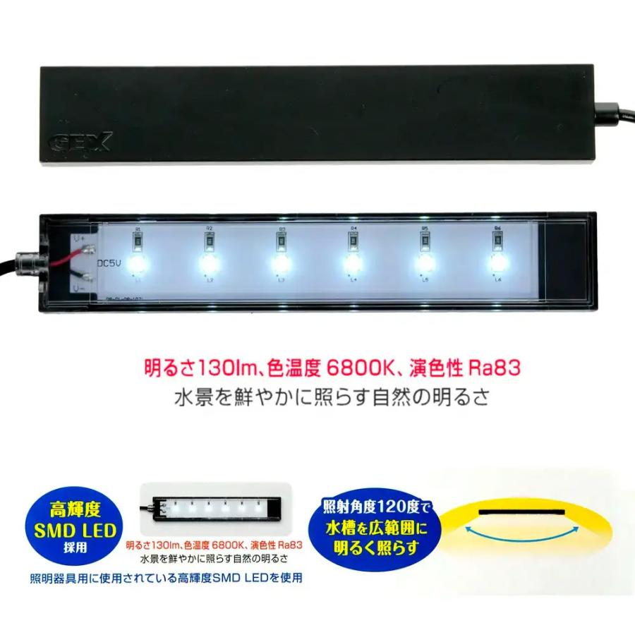 アウトレット品 GEX ガラス水槽 グラステリア