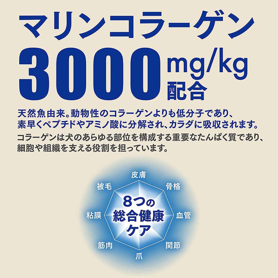 ドッグフード　ビューティープロ　ドッグ　パウダフル　成犬用　チキン味・サツマイモ味パウダー付き　１．８３６ｋｇ |  | 06