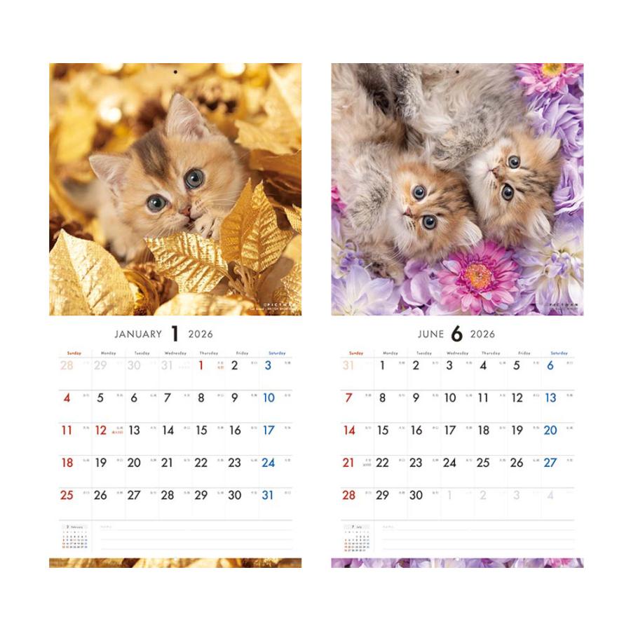 2026年 壁掛けカレンダー PICTWAN キャット・セレクション