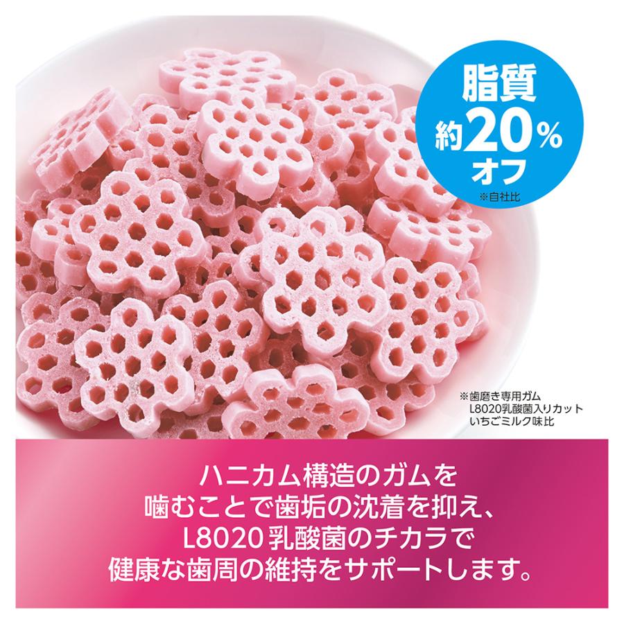 ゴン太の歯磨き専用ガム L8020乳酸菌入り カット いちごミルク味