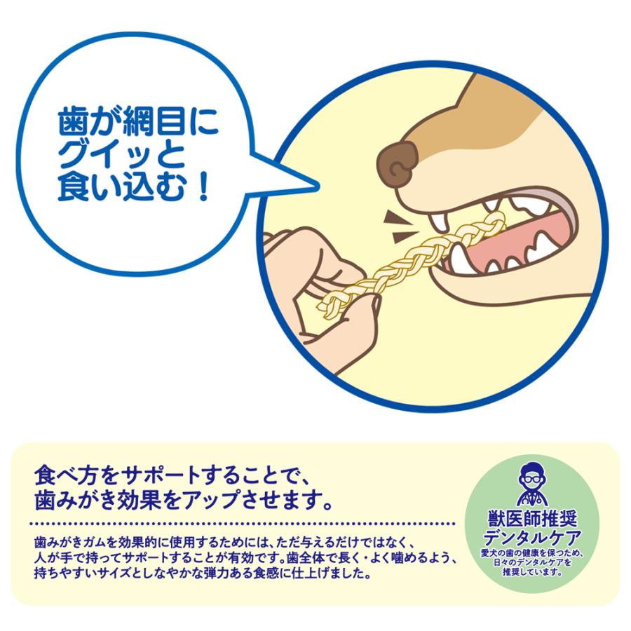 ドギーマン　ホワイデント　歯間ケア　デンタルロープ　ホワイト　ＳＳ　２５ｇ（標準１４本） |  | 03