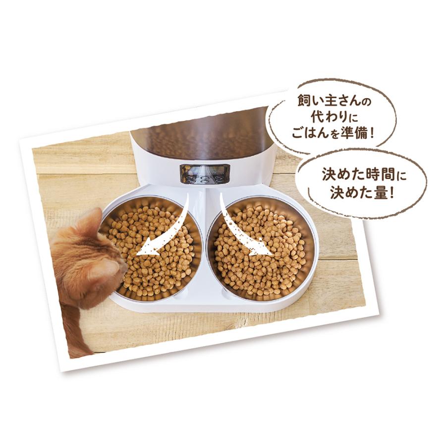 なかよく食べる 自動給餌食器 ツイン 容量6L : チャーム charm