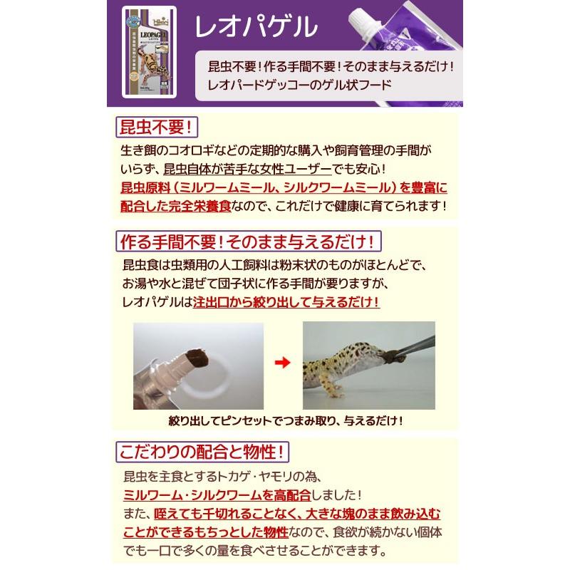 キョーリン レオパゲル 60g 爬虫類 フード ヒョウモントカゲモドキ :356889:チャーム charm ヤフー店 - 通販 - Yahoo!ショッピング キョーリン レオパゲル 60g 爬虫類 フード ヒョウモントカゲモドキ :356889:チャーム charm ヤフー店 - 通販 - Yahoo!ショッピング