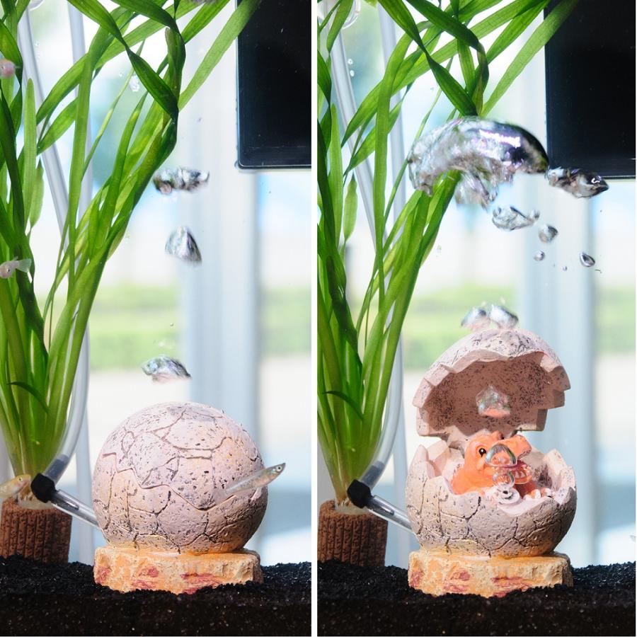 めだか）（水草）簡単メダカ飼育水草レイアウトセット ラメメダカ 
