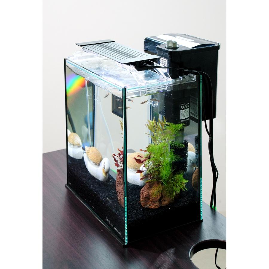 熱帯魚）（水草）簡単アカヒレ飼育水草レイアウトセット アカヒレ S
