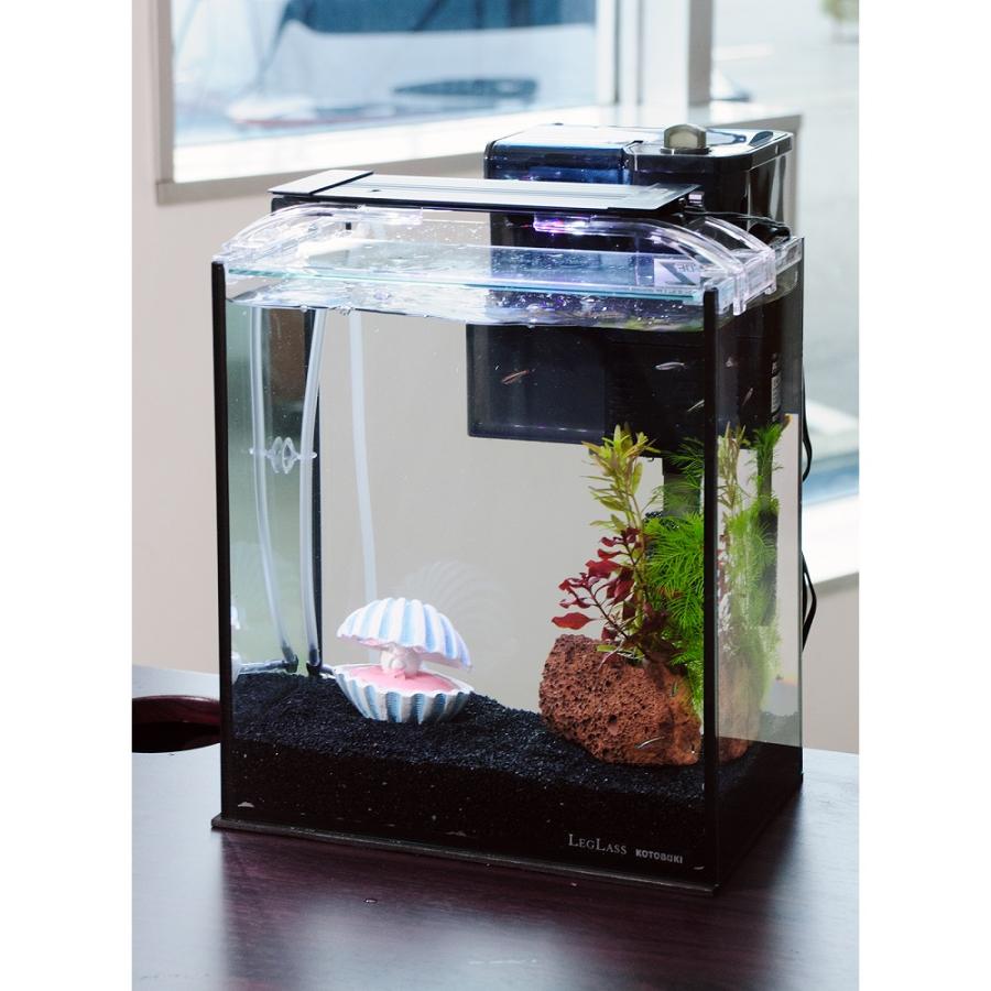 熱帯魚）（水草）簡単アカヒレ飼育水草レイアウトセット アカヒレ S 