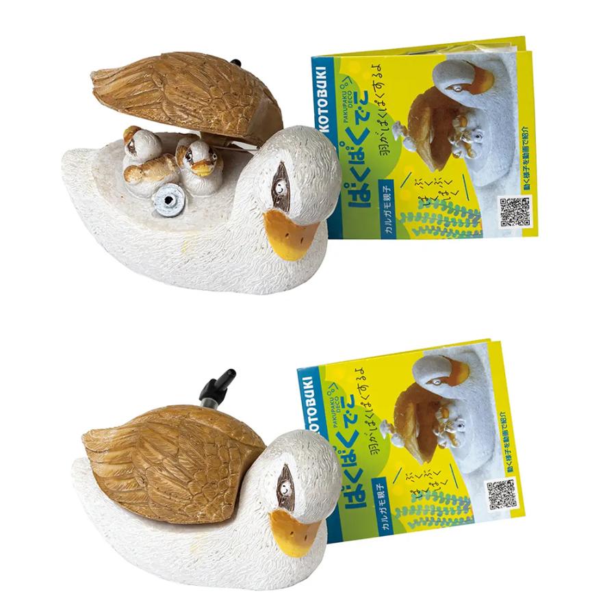 熱帯魚）（水草）簡単イエローミッキーマウスプラティ飼育水草