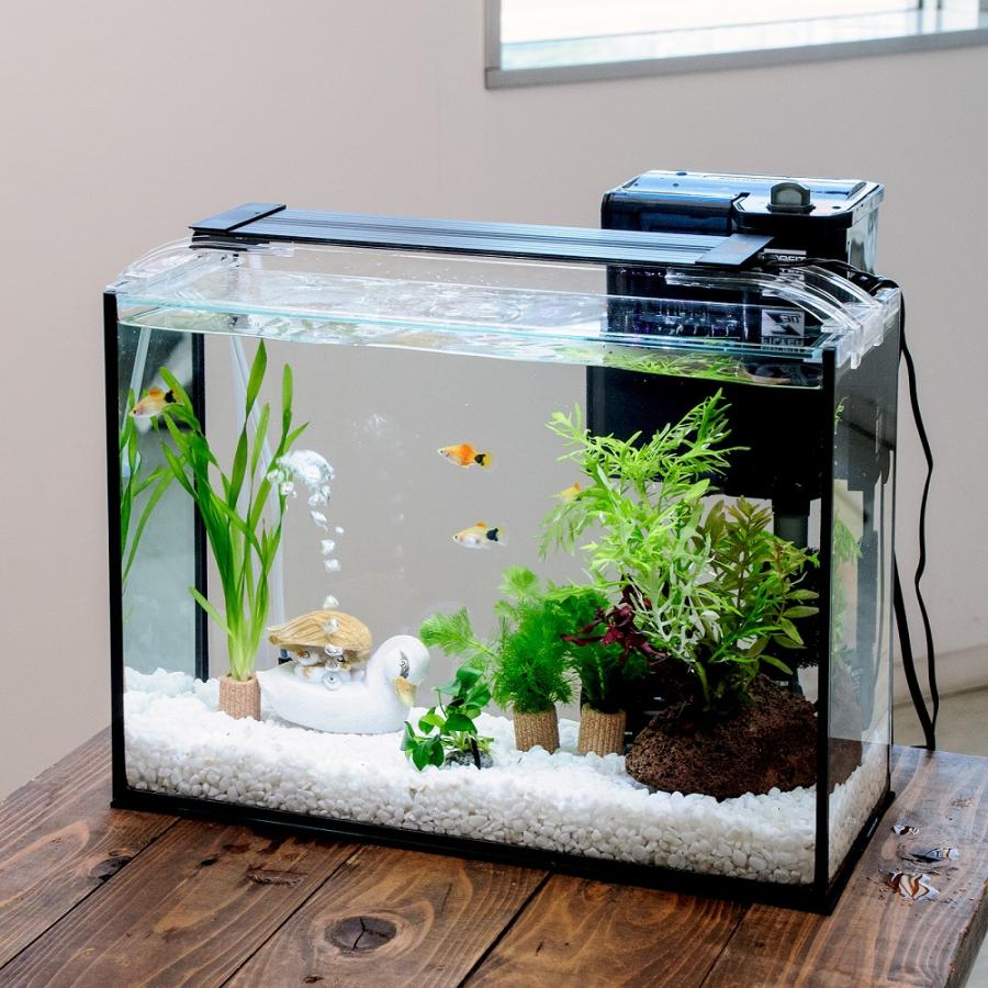 急ぎ！！熱帯魚水槽一式 テトラ サイレントフレックスセット 60 60cmフレームレスガラス水槽