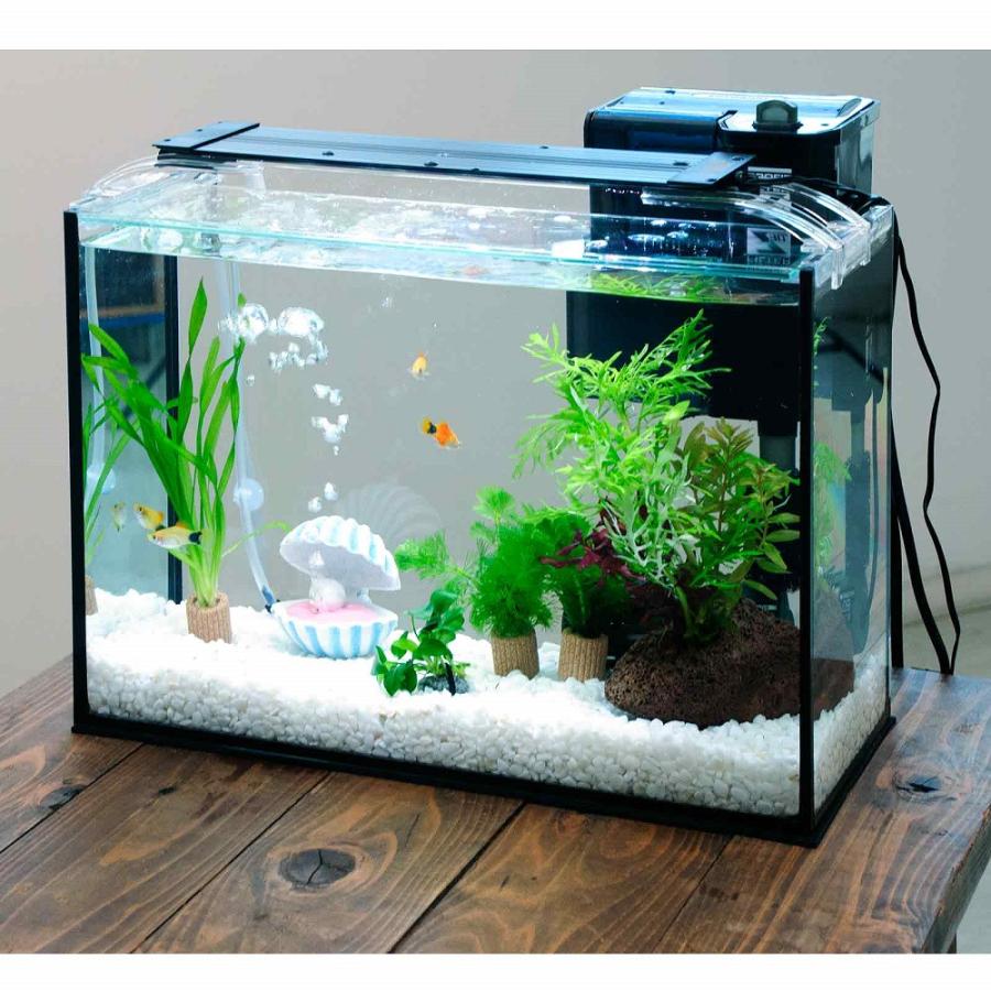 【引き取り限定・千葉県八千代市】美しい水草レイアウト付きアクアリウムセット一式 引き取り限定・千葉県八千代市】美しい水草レイアウト付きアクアリウム