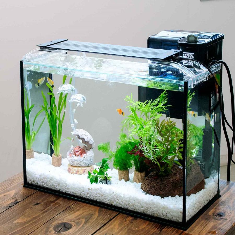 JUN オールガラス水槽 足つき セット 流木&ソイル付き熱帯魚メダカ水草