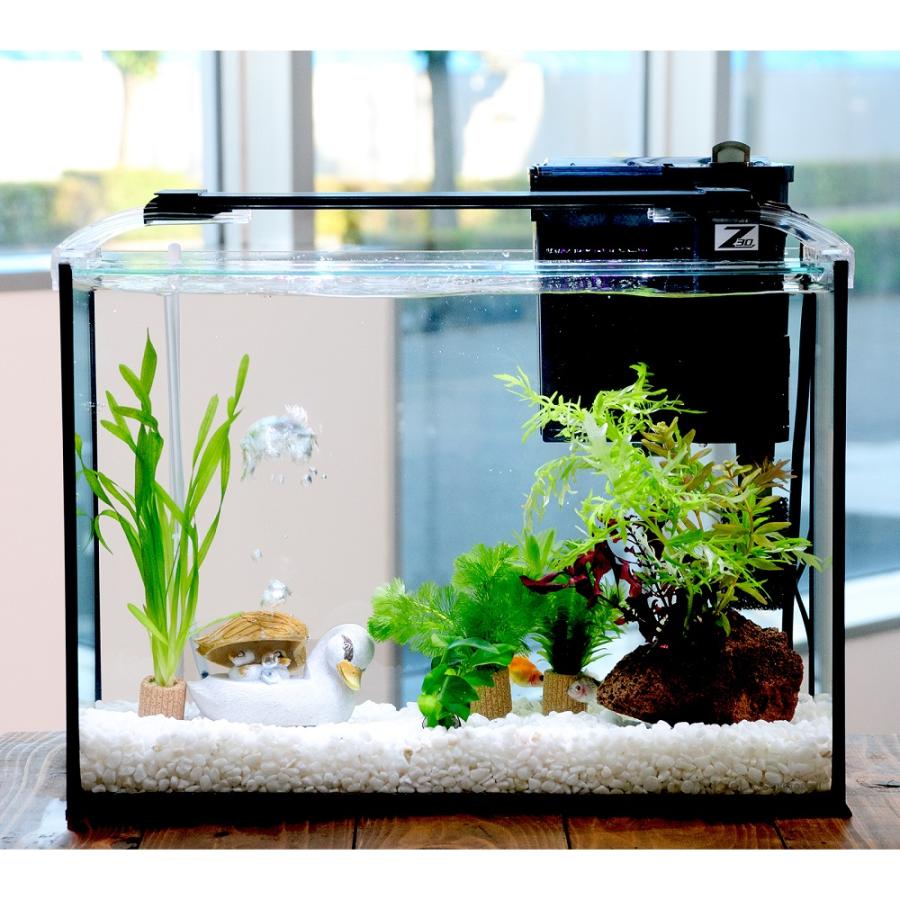 国産金魚）（水草）簡単ピンポンパール飼育水草レイアウトセット