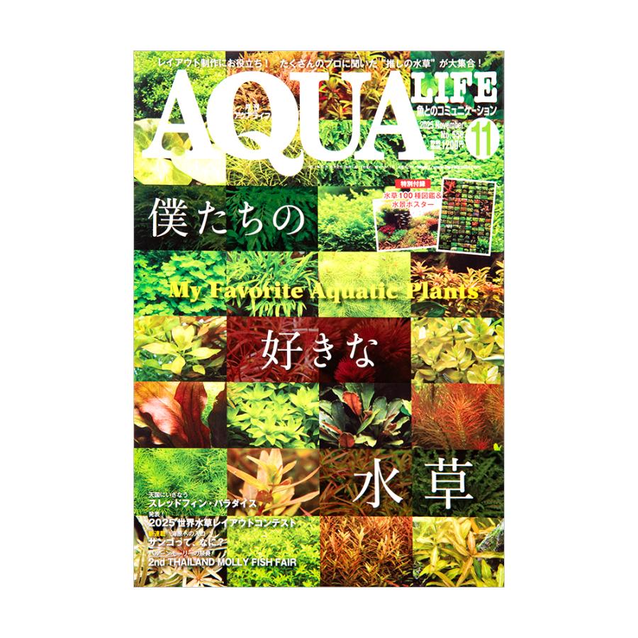 アクアライフ　まとめ売り アクアライフ 11月号（2025） : チャーム charm ヤフー店 - 通販