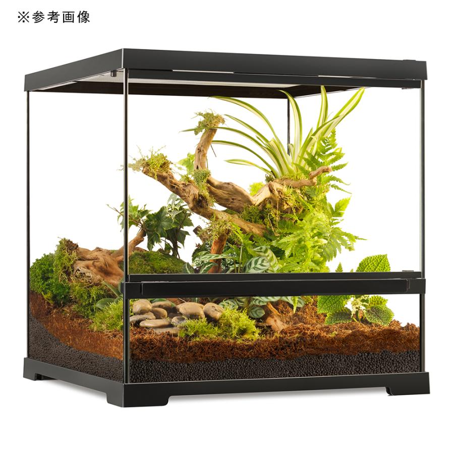 GEX エキゾテラ グラステラリウム PRO 4545 爬虫類 飼育