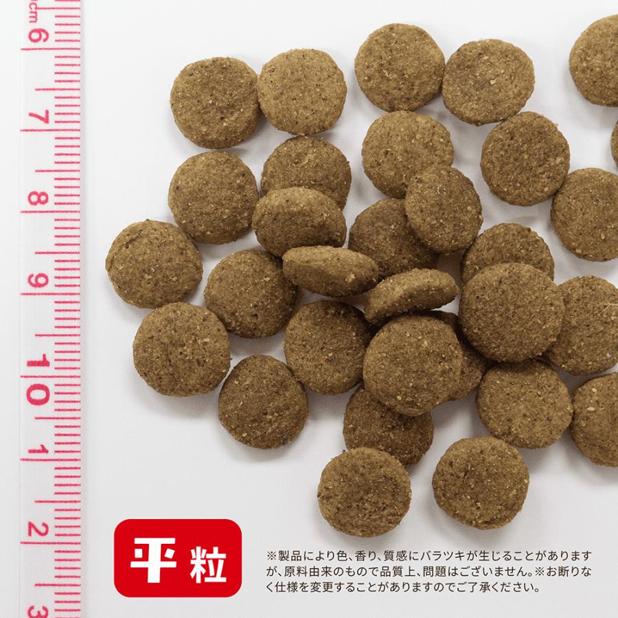 【新品】Dr.PRO. グレインフリー デイリーチキン 10kg 中大型犬用 ドッグフード 国産 ドクタープロ Dr．PRO DAILY グレイン