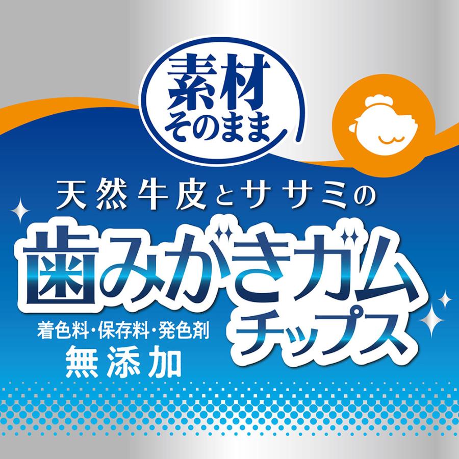 犬　おやつ　ペティオ　素材そのまま　天然牛皮とササミの歯みがきガム　チップス　７５ｇ |  | 04