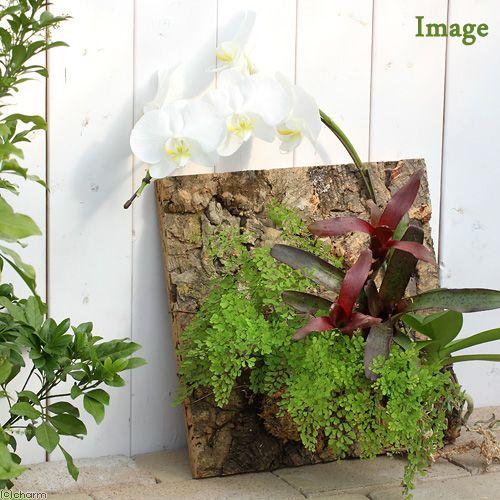 Leaf Corp バージンコルクシート 小（30×30×3cm） : チャーム