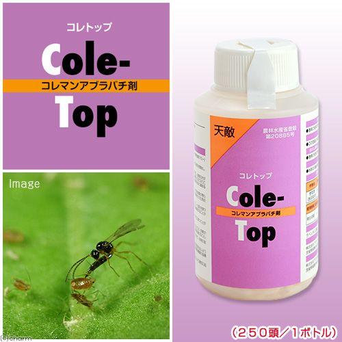 内祝い メーカー直送 天敵製剤 コレトップ コレマンアブラバチ剤 ２５０頭 １ボトル アブラムシ類駆除 同梱不可 別途送料5 300円 Aynaelda Com