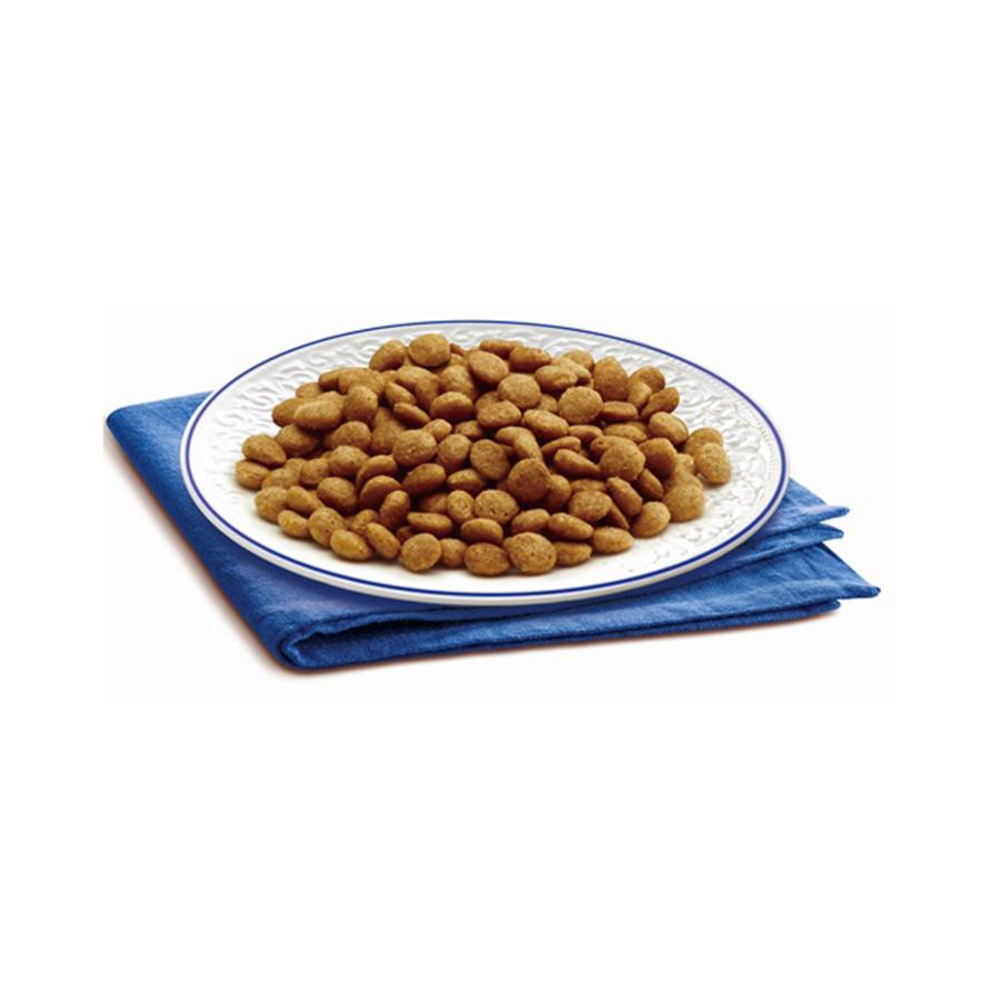 メディファス　アドバンス　グレインフリー　１歳から　フィッシュ味　１．２５ｋｇ（２５０ｇ×５袋）×３　猫　キャットフード |  | 02