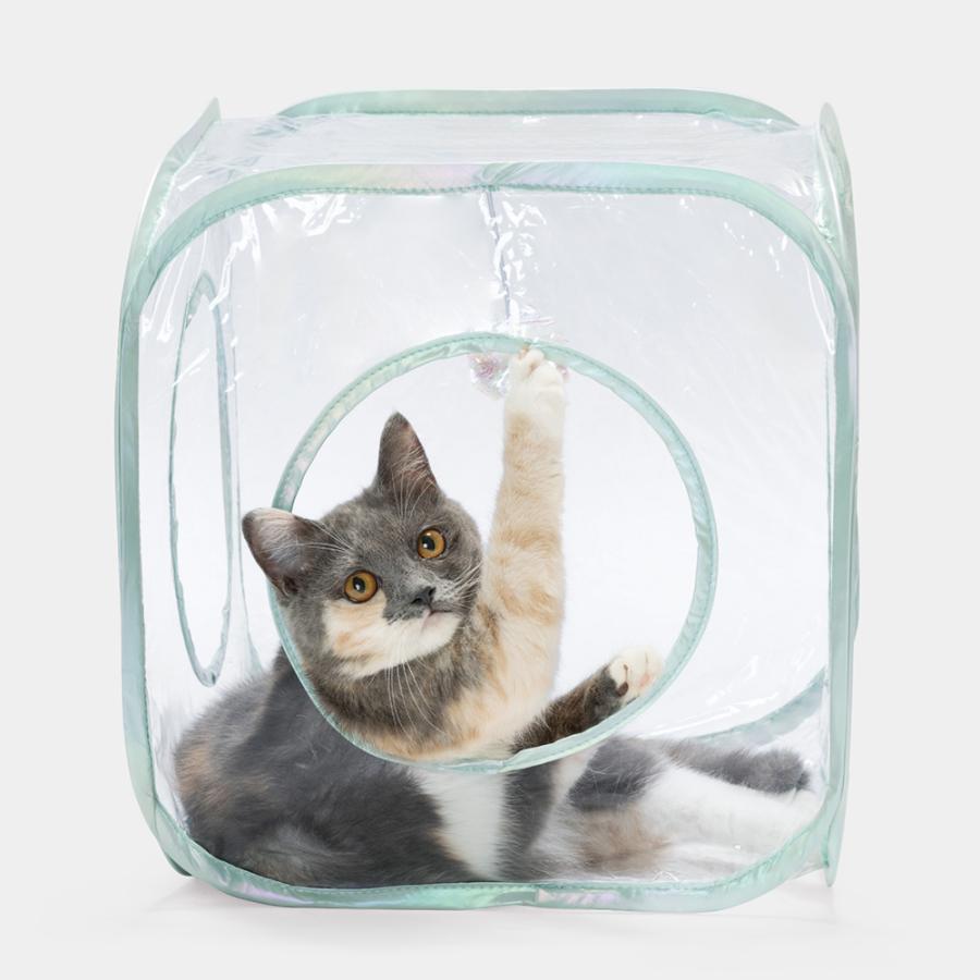 猫用 おもちゃ 猫壱 キャットプレイキューブ クリア : チャーム charm