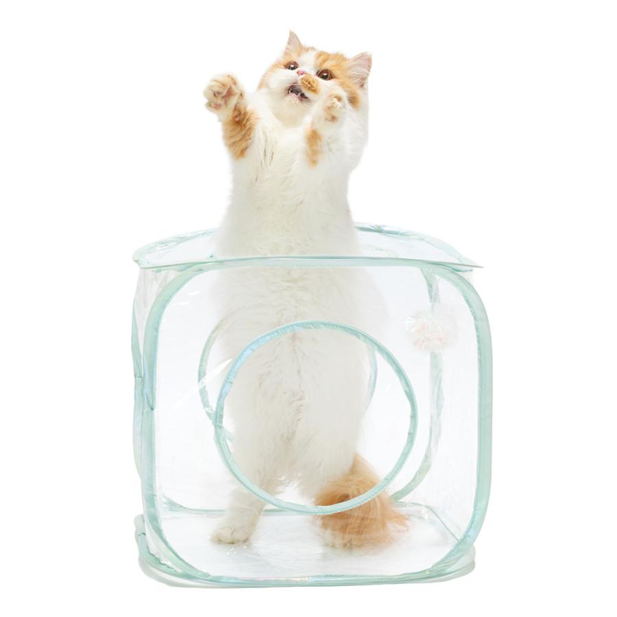 猫用 おもちゃ 猫壱 キャットプレイキューブ クリア : チャーム charm