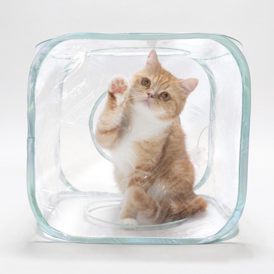 猫用 おもちゃ 猫壱 キャットプレイキューブ クリア : チャーム charm