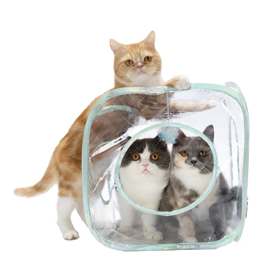 猫用品 新品 猫壱 キャットプレイキューブ ホワイト（4580471868065）｜猫用品（猫