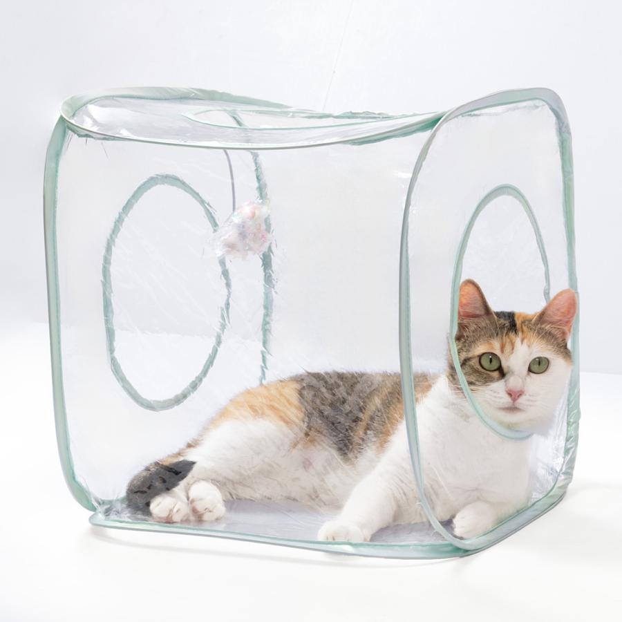 猫用 おもちゃ 猫壱 キャットプレイキューブ クリア : チャーム charm