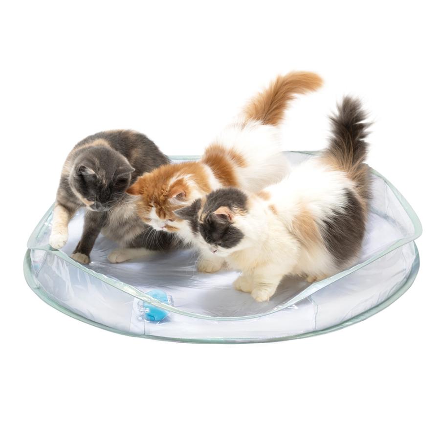 猫用 おもちゃ 猫壱 キャット電動トイセット クリア : チャーム charm