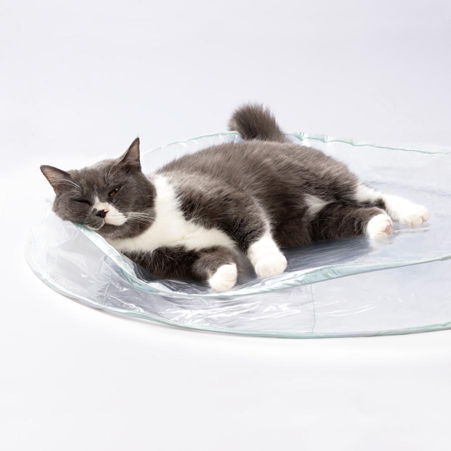 猫用 おもちゃ 猫壱 キャット電動トイセット クリア : チャーム charm