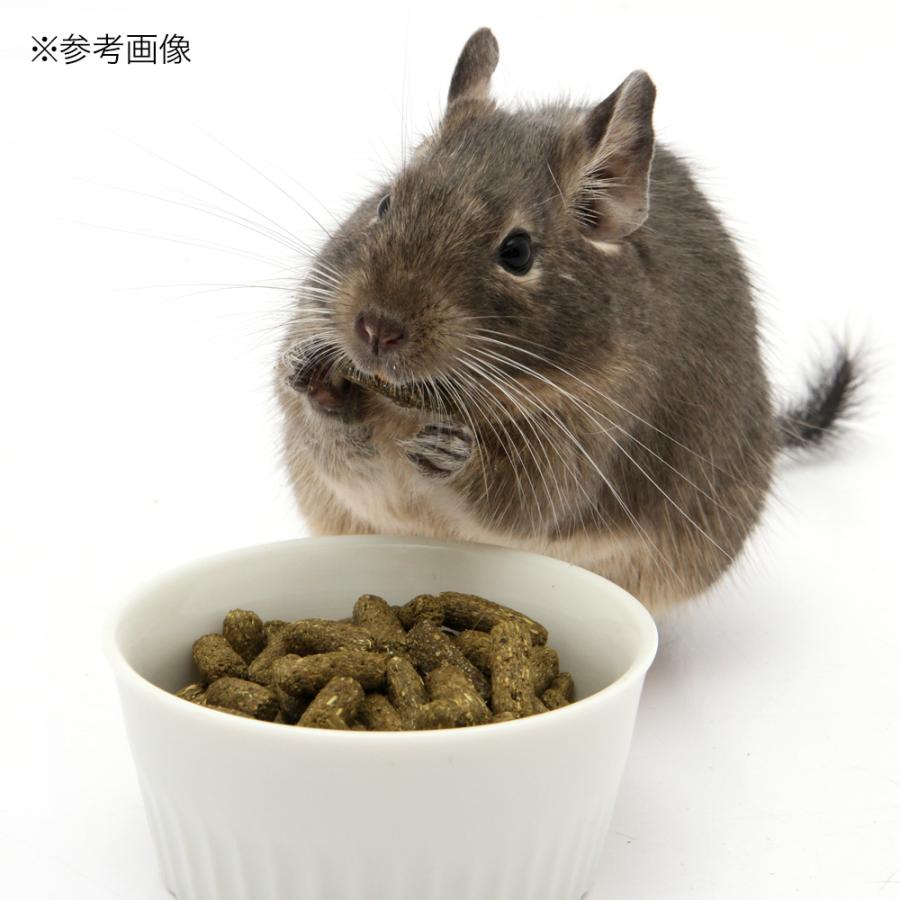Leaf Corp 国産 デグーの食事プレミアム 300g×3袋 ステビア