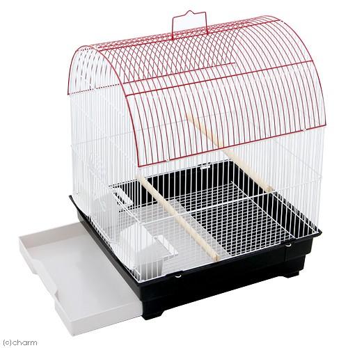 卓出 アウトレット品 アーチ屋根のバードケージ ５５ ６６ １５３ｃｍ 組立確認済 ２セット 鳥用 小鳥 インコ 鳥かご 沖縄別途送料 Riosmauricio Com