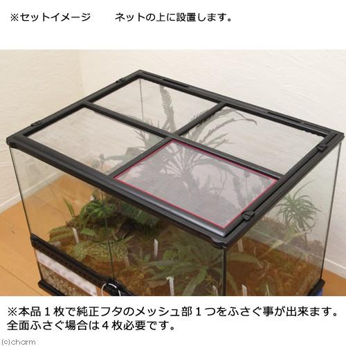 グラステラリウム6045×2個