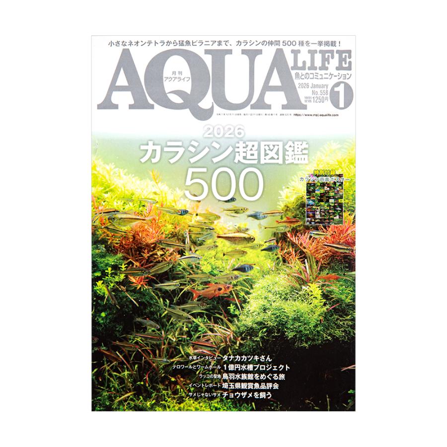 アクアライフ 1月号（2026） : チャーム charm ヤフー店 - 通販