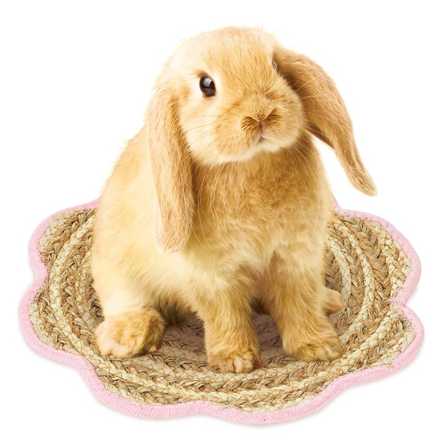 マルカン　ラビットカーニバル　フラワーマット　１枚 |  | 02