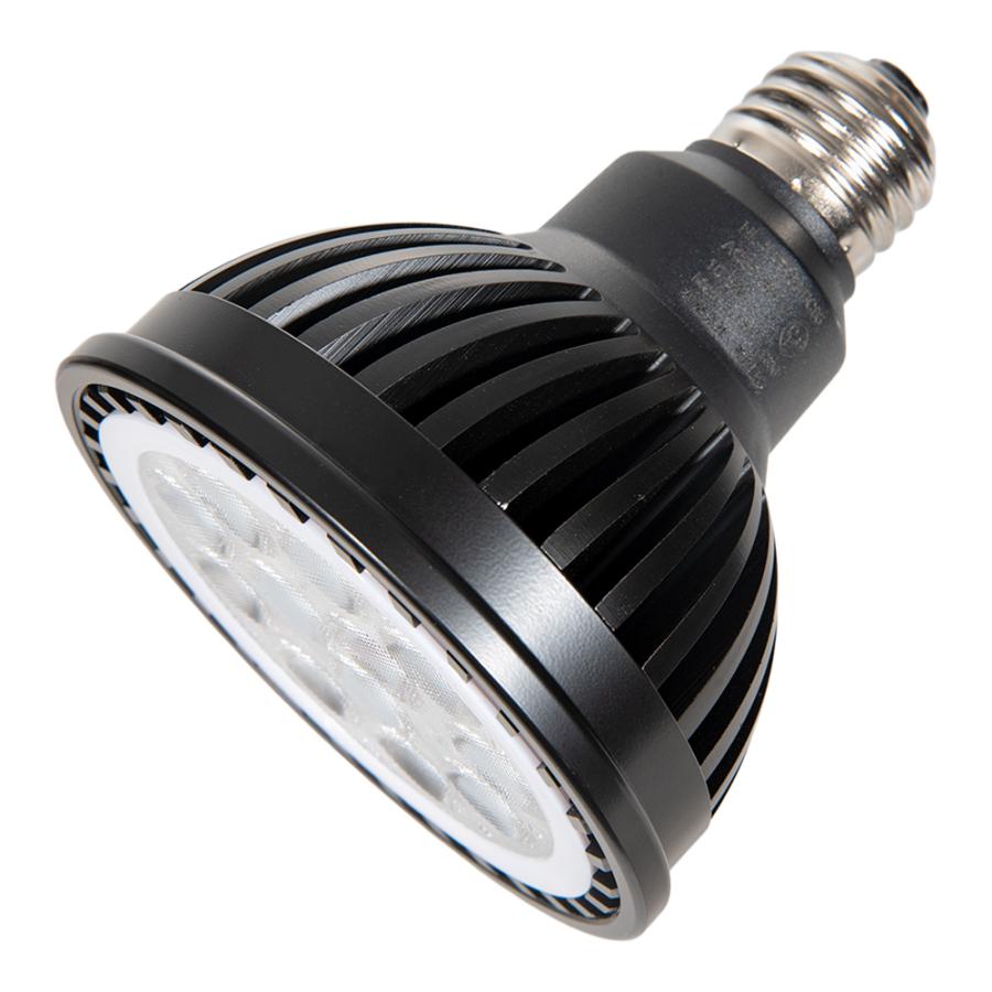 PLANTS NEXLIGHT BLACK 電球色（暖色光