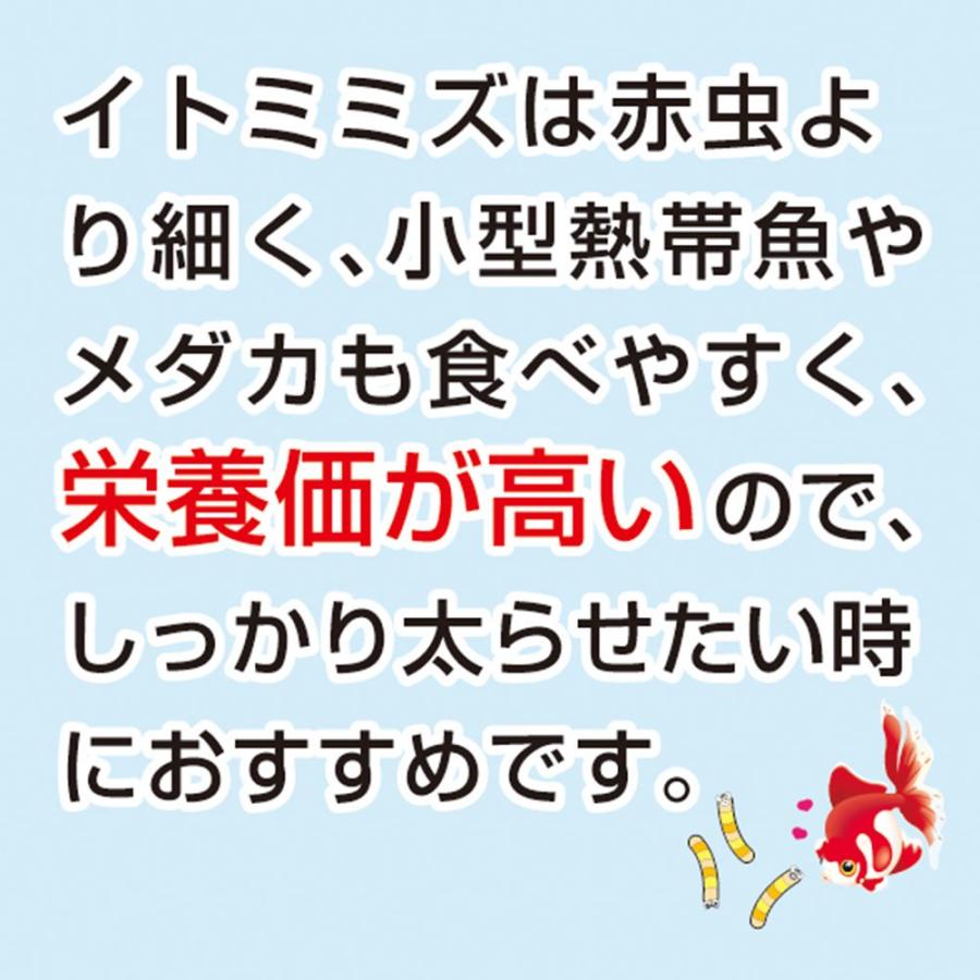 冷凍★キョーリン　ビタクリンイトミミズ　１００ｇ×２　冷凍飼料保存袋のおまけ付　別途クール手数料　常温商品同梱不可　お一人様６点限り |  | 03