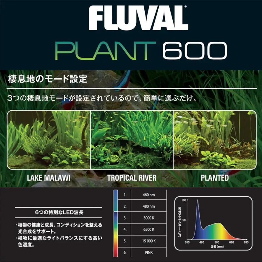 アウトレット品 GEX LED FLUVAL PLANT 600 60