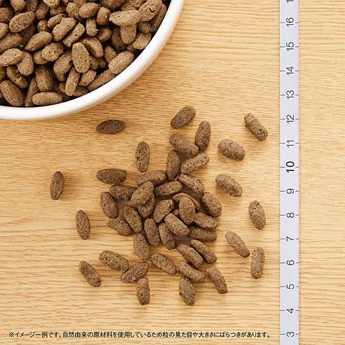 ナチュラルチョイス ニュートロ 猫 ナチュラルチョイス 減量用