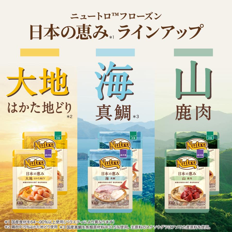 冷凍★ニュートロ　フローズン　日本の恵み　海　真鯛　シニア犬用　８０ｇ　別途クール手数料　常温商品同梱不可 | ニュートロ | 07