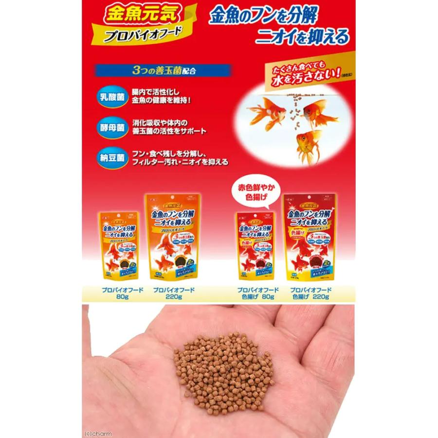 GEX 金魚元気オールセット ぶくぶくクリア250CUBEVer