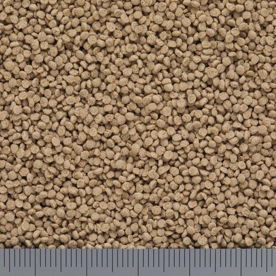 キョーリン　カルガット　２００ｇ　爬虫類　お一人様３０点限り |  | 01