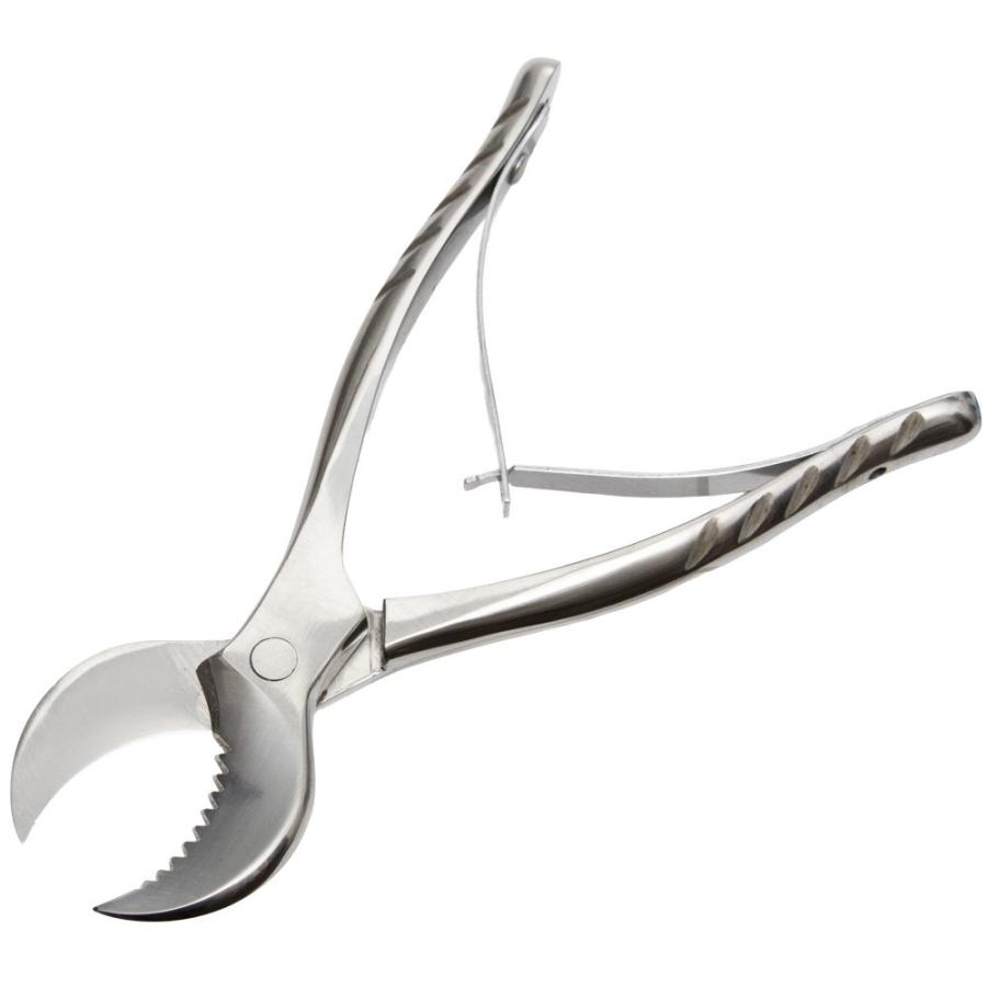 材割りペンチ　昆虫　ブリード　産卵木 | 