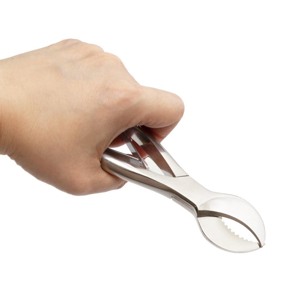 材割りペンチ　昆虫　ブリード　産卵木 |  | 02